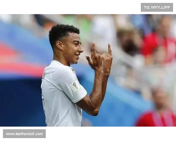 林加德调侃现象分析与应对策略探讨：文化差异与社会责任的双重视角